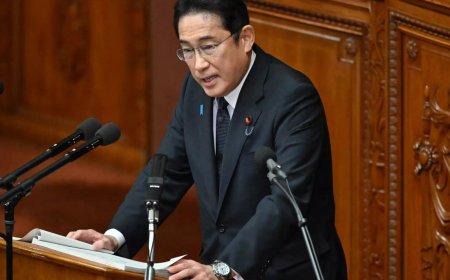 Japan PM announces $113 billion economic stimulus