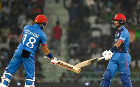 Australia vs Afghanistan Live Score Updates: AFG 291/5; Afghanistan posts their highest World Cup score