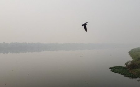 Bad air: Physical classes up to 9 suspended in Noida till Nov 10