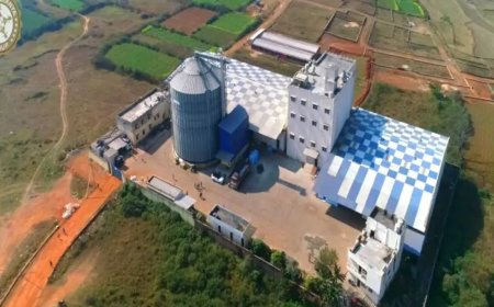 Baba Food Processing share price makes a flat debut; shares list at  ₹76 apiece on NSE SME