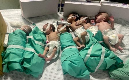 Israeli military forces raid Gaza's largest hospital in operation against Hamas