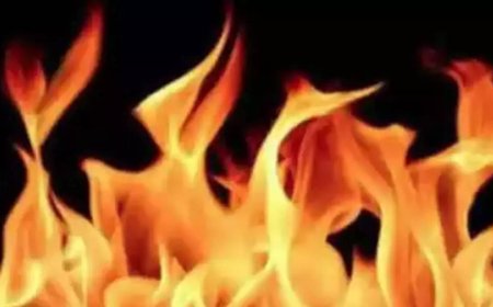 Fire breaks out in Mumbai building; 5 rescued