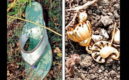 Human sacrifice? : Woman’s body found near Mumbai-Nagpur e-way