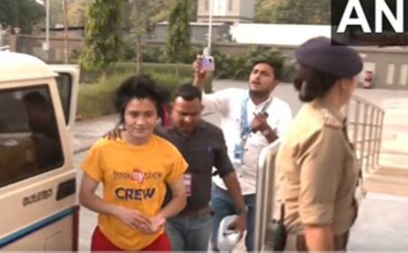 Who is Wen Johnson, the Australian wearing 'Free Palestine' t-shirt who invaded pitch during World Cup final?