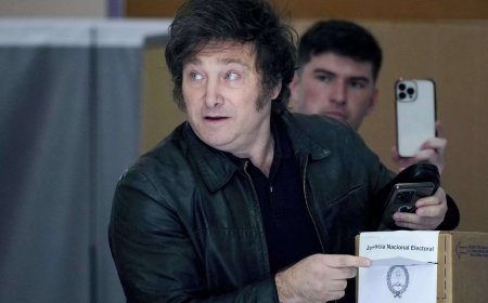 Argentina's Javier Milei: From TV pundit to the presidency