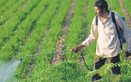 PI Industries share price gains more than 1%:analysts see up to 22% upside