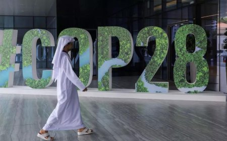 Who's who at the Cop28 climate talks, and what do they want?