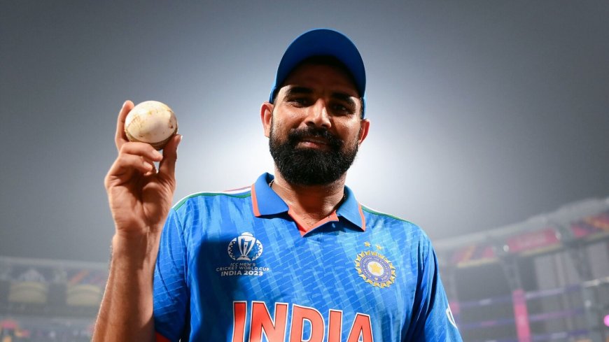 World Cup 2023 top wicket-takers: Mohammed Shami at 1st place, two other Indian bowlers in top 10; check others on list