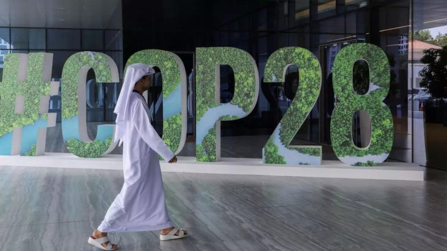 Who's who at the Cop28 climate talks, and what do they want?