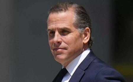 How Hunter Biden spent millions on 'adult entertainment', lavish lifestyle