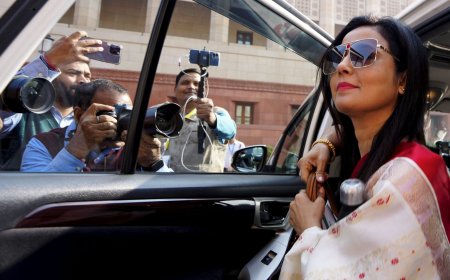 Why Mahua Moitra wasn't allowed to speak in Lok Sabha on cash-for query case