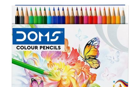 DOMS Industries IPO: Check latest GMP, other issue details ahead of the issue opening on December 13