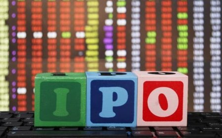 IPO Review: DOMS Industries IPO and India Shelter Finance IPO open for subscription today: Which one should you buy?