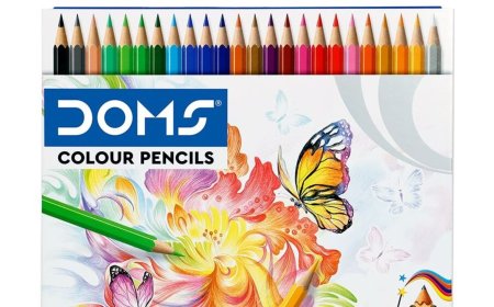 DOMS Industries IPO opens today: GMP, price band, issue details, 10 key things to know before investing in DOMS IPO