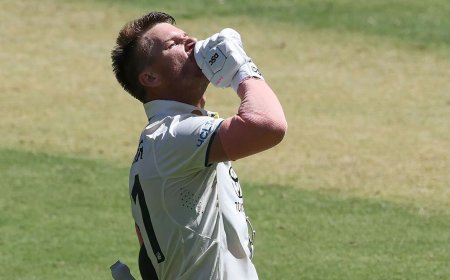 David Warner celebrates century against Pakistan in Perth test with a 'shush', here's why | Watch
