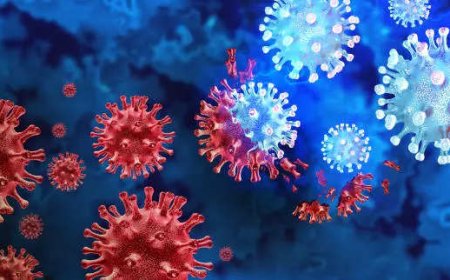 Covid-19 sub-strain JN 1 detected in Kerala woman