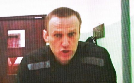 Alexei Navalny, Russia’s opposition leader, is missing in the gulag