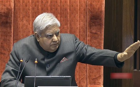 'Seems you will also start dancing soon...': Jagdeep Dhankhar warns Raghav Chadha after hand gesture in Rajya Sabha