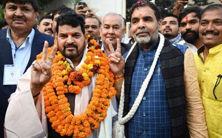 Who is Sanjay Singh? All you need to know about new WFI chief and Brij Bhushan's aide