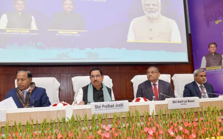 Domestic Coal Based Power Generation Increases