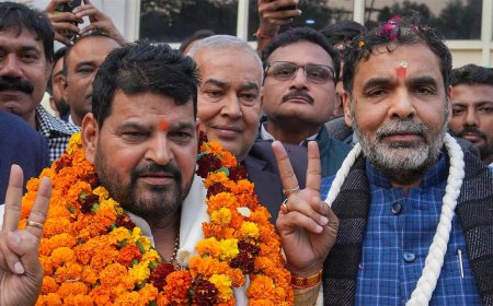 'Hasty announcement': Sports ministry suspends newly-elected WFI body till further notice