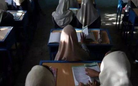 Activist calls for action against ban on girls' education in Afghanistan