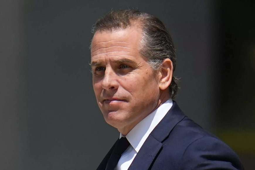 How Hunter Biden spent millions on 'adult entertainment', lavish lifestyle