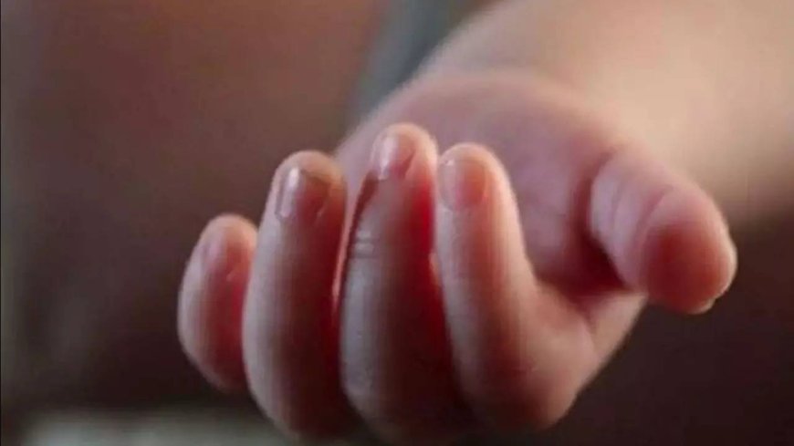 10 newborns die in 24hrs in Bengal's Murshidabad hospital