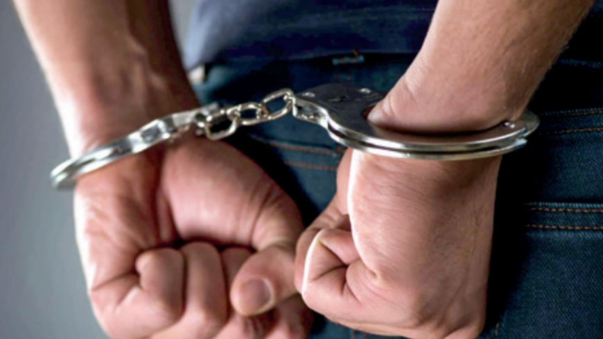 Mother of 7 girls hires duo in bid to kill husband, held