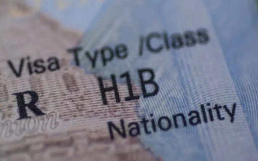 Pilot programme for domestic renewal of H-1B visa start