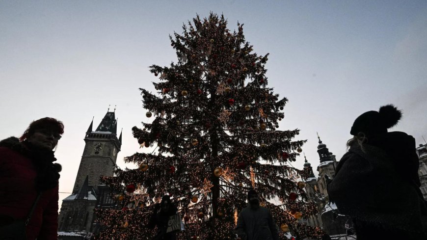 Woman killed by falling Christmas tree on Belgian market square