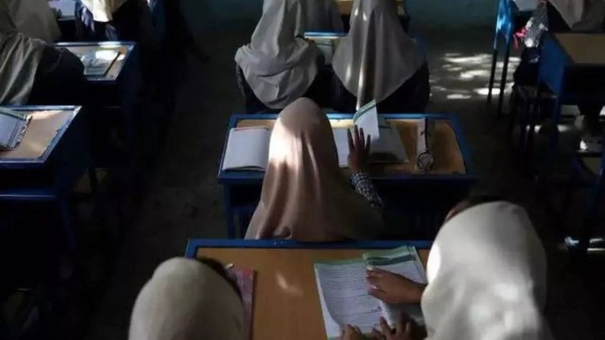 Activist calls for action against ban on girls' education in Afghanistan