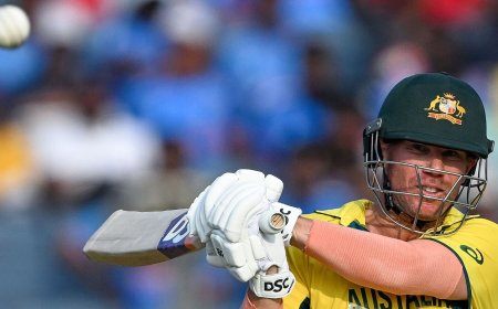 David Warner retires from one-day cricket but keeps options open for Champions Trophy 2025