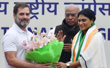 Rahul Gandhi as Prime Minister was my father's dream: YS Sharmila after joining Congress