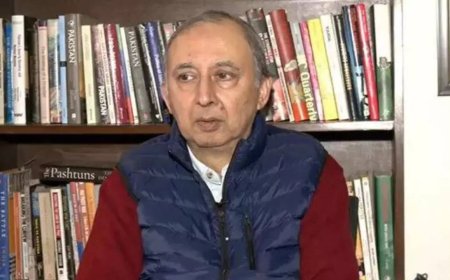 'Pak not able to handle its internal insurgency, blames India': Pak expert