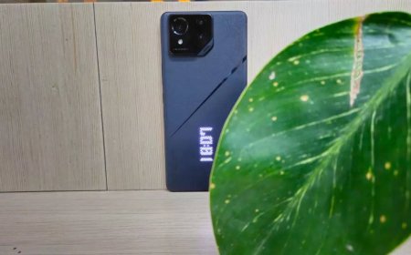 Asus ROG Phone 8 with new design, gaming features launched