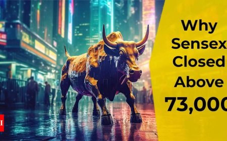 Stock market today: BSE Sensex closes above 73,000 for the first time; Nifty50 above 22,000 - reasons why Dalal Street rallied