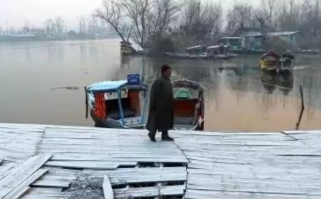 Cold wave continues in Kashmir: Sub-freezing temperatures blanket region