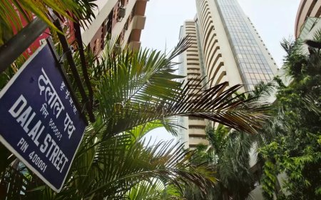 Top Gainers and Losers today on 17 January, 2024: HCL Technologies, SBI Life Insurance Company, HDFC Bank, Tata Steel among most active stocks; Check full list here