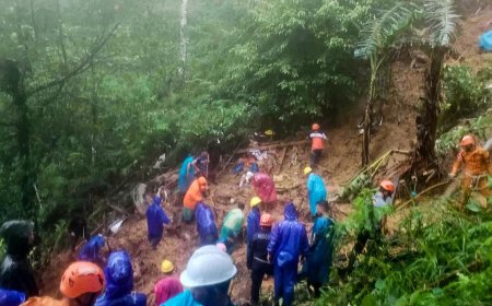 At least 7 dead after landslide buries house in Philippines: Official