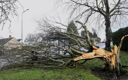 Storm Isha disrupts flights: Passengers wake up in ‘wrong’ country