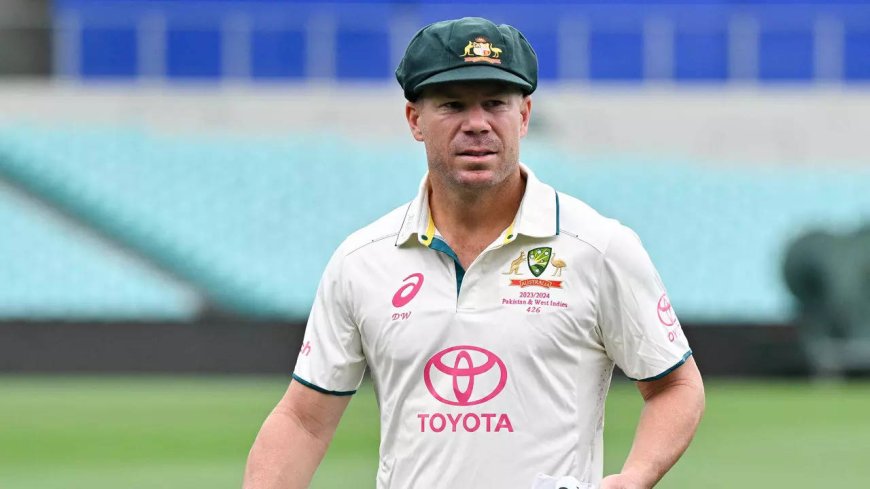 Watch: Warner appeals for return of stolen baggy green cap