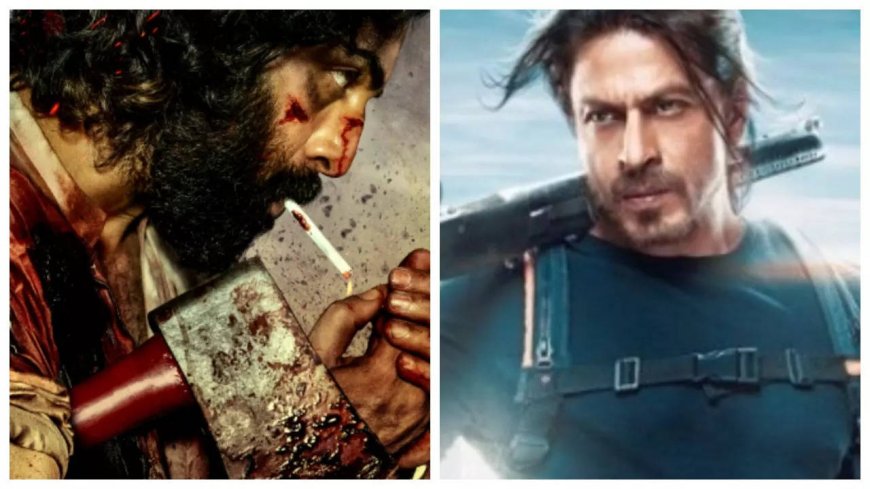 'Animal' beats Shah Rukh Khan's 'Pathaan'