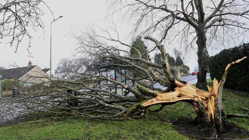 Storm Isha disrupts flights: Passengers wake up in ‘wrong’ country