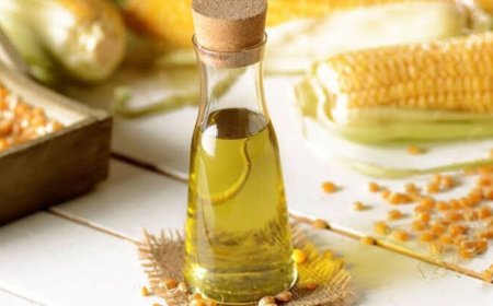 Mayank Cattle Food IPO allotment to be finalised today; GMP steady, steps to check Mayank Cattle IPO allotment status