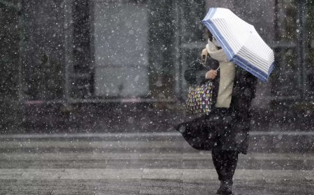 Heavy snow hits Tokyo area, halting trains and grounding more than 100 flights