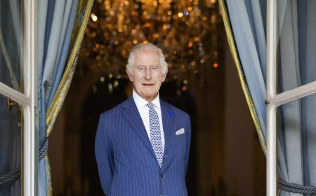 Prince Harry to visit King Charles III amid cancer diagnosis