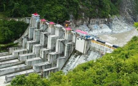 NHPC share price declines 10% ahead of Q3 results today. Should you Buy, Sell or Hold the stock?