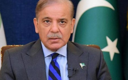 Nawaz Sharif's brother Shehbaz Sharif likely to become next Pakistan PM. How Asif Ali Zardari, Bilawal Bhutto react