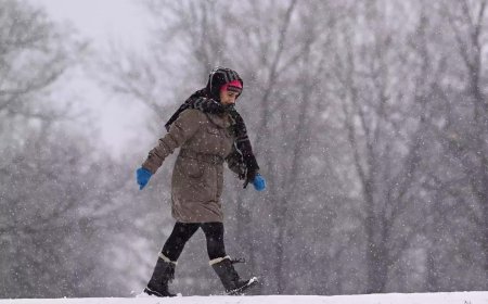 Winter storm in US Northeast disrupts flights, schools